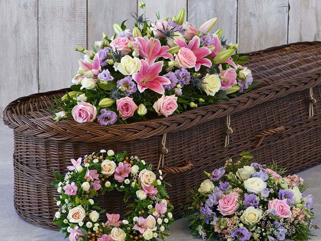 The Pastel Collection image