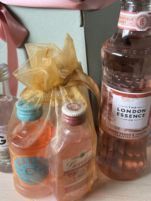 Gins1