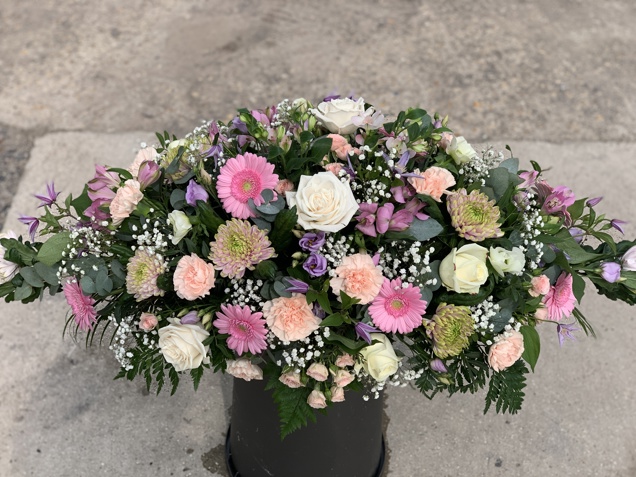 Photo 26 04 2025, 10 54 59