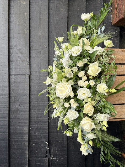 Photo 12 11 2025, 08 59 59